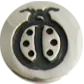 Coccinella